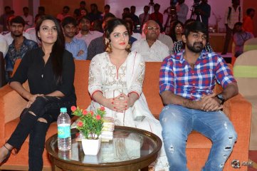 Nannu Vadali Neevu Polevule Movie Audio Launch
